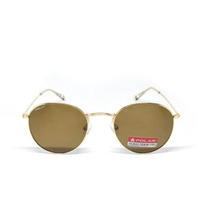 Polar 0220 michigan C2-Gold